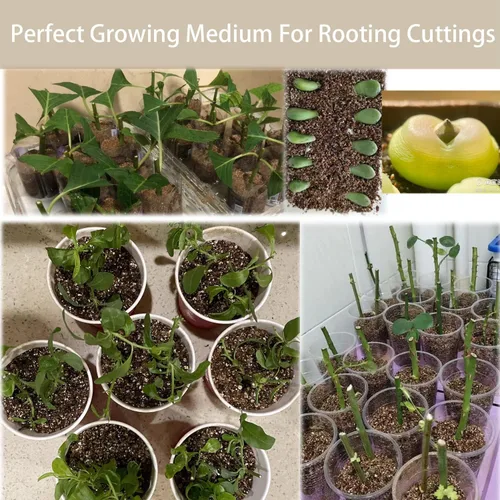 Miniatura 5 de Vermiculita gruesa natural de 2 cuartos para plantas, mezcla mineral orgánica para macetas, hidroponía, terrarios, orquídeas, hongos o hábitats