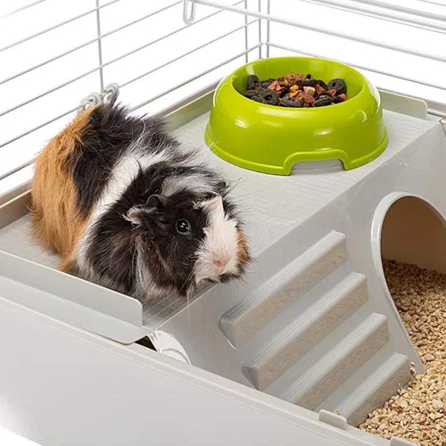 Miniatura 7 de Ferplast Jaula para cobayas y conejos Jaula para mascotas incluye todos los accesorios para comenzar y una garantía de 1 año