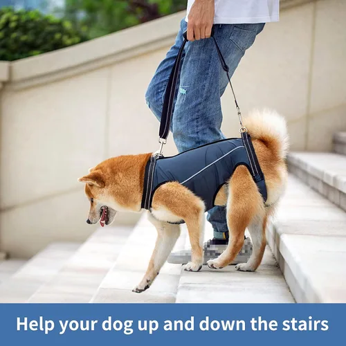 Miniatura 3 de Arnés de elevación para perros, soporte de cuerpo completo y recuperación para mascotas, correas ajustables con asa para viejos, lesiones