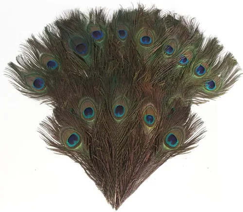 CCINEE 15 plumas de pavo real natural, plumas de cola de pavo real de 10 a 12 pulgadas para manualidades, disfraz de Halloween, dama de honor,