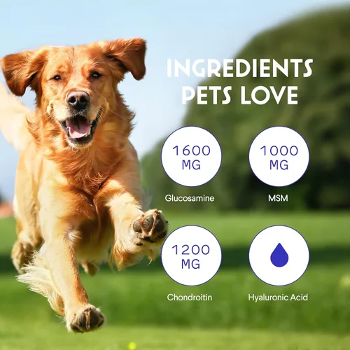 Miniatura 5 de WONDER PAWS Glucosamina líquida prémium para perros, apoyo articular fuerte, flexibilidad, cartílago y movilidad, suplemento de cadera