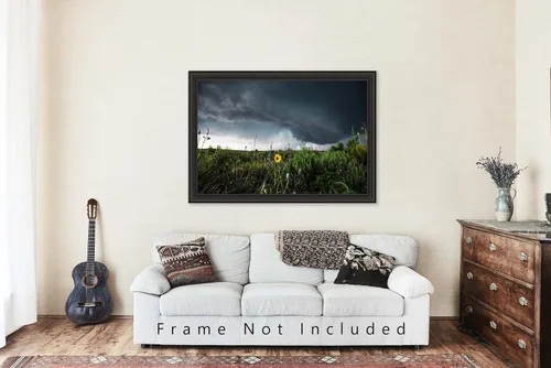 Miniatura 5 de Storm Photography Print (Not Framed) Picture of Thunderstorm Passing Behind Wild Sunflower on Spring Day in Texas Flower Wall Art Nature Decor
