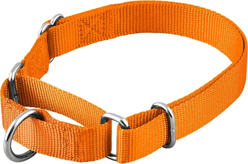 Miniatura 25 de Native Pup Collar básico de nailon para perro, ajustable para mascotas y cachorros pequeños, medianos y grandes, bonitos colores para hombres