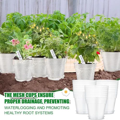 Miniatura 4 de Hushee Juego de 10 macetas transparentes de 8 pulgadas para guardería, incluye 10 platillos y 100 etiquetas para plantas, maceta de plástico