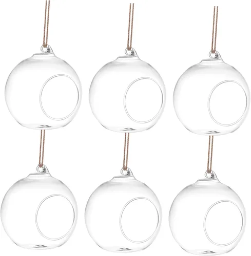 LIOOBO 6pcs Hanging Terrarium Vases for Succulent Plants Glass Planters Natural Jute Hanger for Home Decoration Air Plants and Garden Display