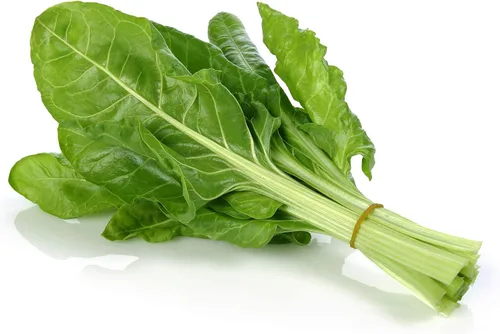 Semillas de acelgas – Umaina japonesa – Paquete de 0.14 oz ~ 278 semillas – Sin OMG, reliquia – Vegetales asiáticos y microverdes de jardín