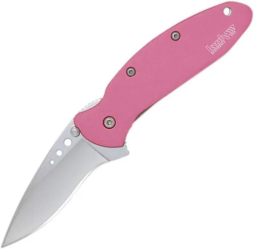 Kershaw Cuchillo de bolsillo rosa cebollino, hoja de acero 420HC de 1.9 pulgadas, mango de acero inoxidable 410, apertura asistida con aleta,