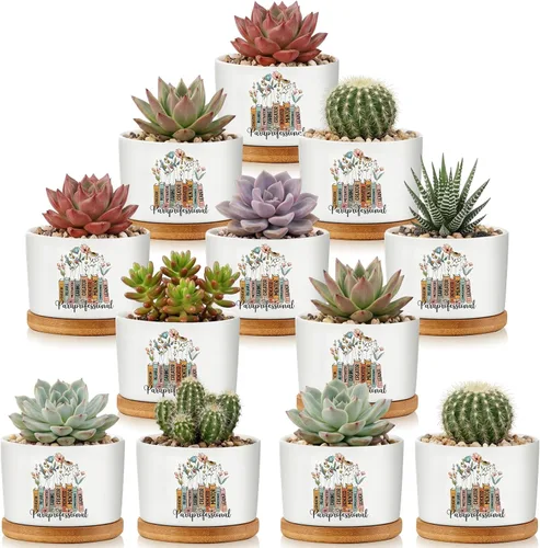 Miniatura 11 de 12 macetas inspiradoras para suculentas, regalo de agradecimiento a granel para mujeres, empleadas, profesores, compañeras de trabajo, Sometimes You