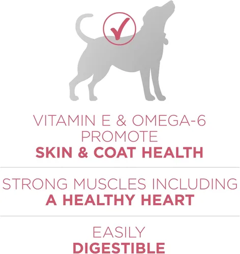 Miniatura 5 de Purina ONE Alimento seco natural para perros con estómago sensible, fórmula +Plus para piel y pelaje, bolsa de 16.5 libras