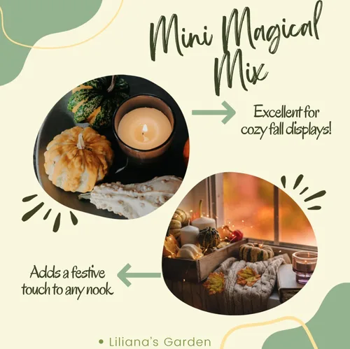 Miniatura 6 de Mini Magical Mix" - Semillas decorativas pequeñas de mezcla de calabaza y calabaza – Más de 10 pequeñas variedades decorativas de calabaza