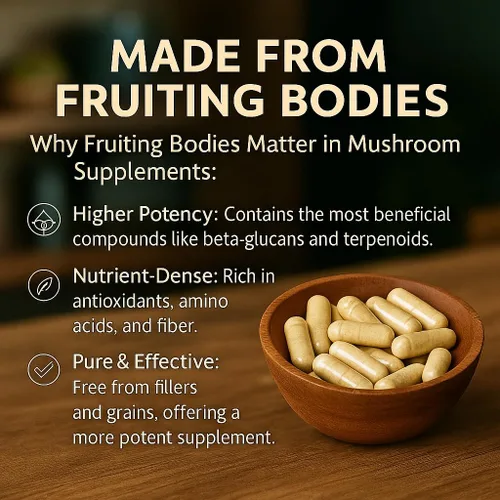 Miniatura 4 de Me First Living Suplemento complejo de hongos 10 en 1 con melena de león, cordyceps, cola de pavo, reishi y más. Suplementos cerebrales nootrópicos