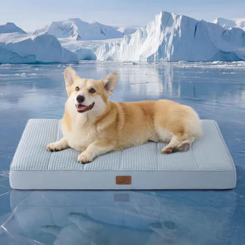 Miniatura 14 de Bedsure Camas para Perros Tamaño Grande - Cómodas Camas Planas para Mascotas con Funda Lavable Extraíble, Alfombrilla de Espuma Ortopédica