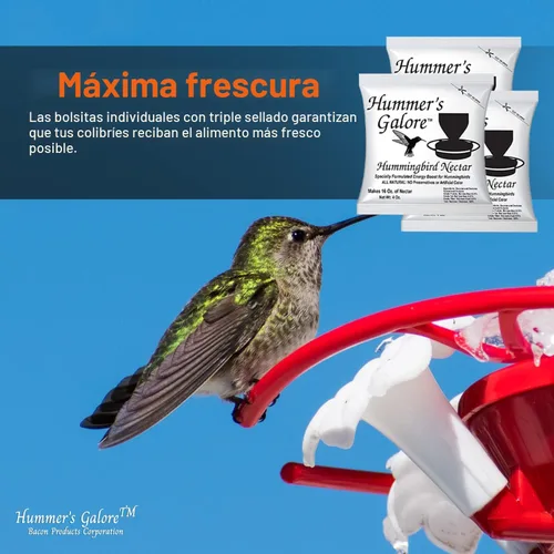 Miniatura 6 de Hummer's Galore Alimento para colibríes, néctar de colibrí listo para mezclar, fórmula colectora de néctar totalmente natural, sin conservantes ni