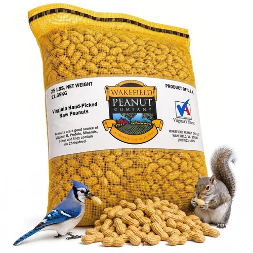 Miniatura 11 de Wakefield - Cacahuetes Virginia prémium para ardillas, arrendajos azules y vida silvestre, bolsa de 6 libras, recogidos a mano, crudos, sin sal