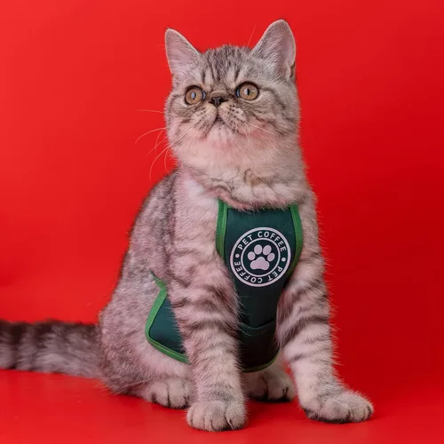 Miniatura 4 de Toalla de saliva para mascotas, ropa de Halloween para gatos, ropa de cosplay de mascotas, disfraz de perro para mascotas, ropa divertida