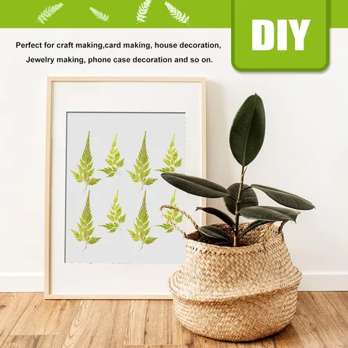 Miniatura 6 de ALJ Hojas de helecho secas reales, 42 hojas de helechos prensadas amarillas naturales para arte de resina, decoración de adornos de manualidades