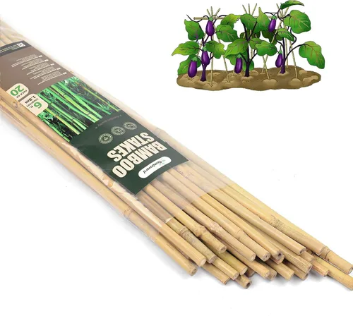 Miniatura 10 de Cambaverd Varillas de bambú para plantas, estacas de bambú de 2 pies para jardinería interior, estacas para plantas en maceta, mini árboles, estacas