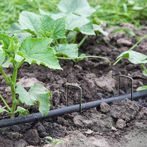 Miniatura 3 de Estribos de jardín, paquete de 100 clavijas de jardín de 6 pulgadas de acero inoxidable resistente en forma de U para anclar pasadores de césped