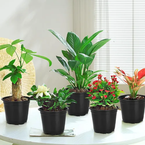 Miniatura 6 de Paquete de 60 macetas de 3 pulgadas para plantas, macetas de plástico para semillas con agujeros de drenaje, pequeñas macetas de plástico