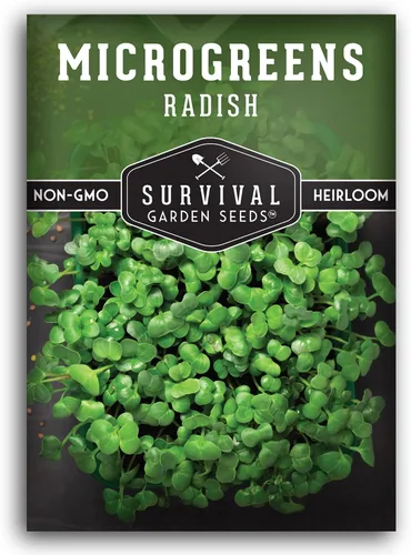 1 paquete de semillas de rábano para plantar y cultivar – Planta microvegetales de hoja verde en interiores – Cultiva tu propio mini jardín de