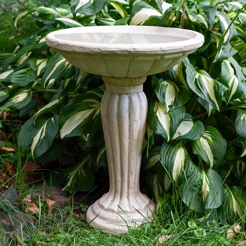 Miniatura 6 de Sunnydaze - Bañera para pájaros de hormigón de 20.25 pulgadas de alto para exteriores, columna griega, pedestal, baño para pájaros con construcción