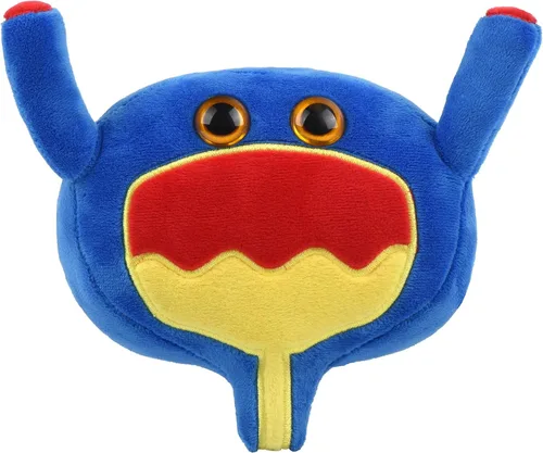 GIANT MICROBES Peluche de vejiga, regalos de mordaza de urología, conciencia sobre el cáncer de vejiga, peluches de órgano, conciencia del cáncer de