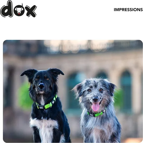 Miniatura 4 de DDOXX Collar de nailon para perro, collares fuertes y ajustables para perros, collar de perro con diseño de arándanos, mediano (morado)