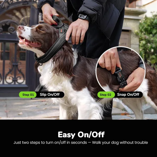 Miniatura 4 de Didog Arnés sin tirones para perro, con acolchado de malla suave, reflectante y de ajuste rápido, ligero, chaleco con correa para perro, fácil