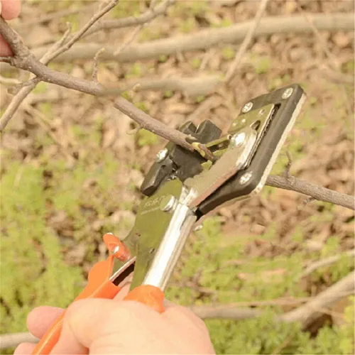 Miniatura 5 de Fruit Tree Pro Grabado Acero al Carbono Tijera De Poda De Injerto De Corte Herramientas De Jardín