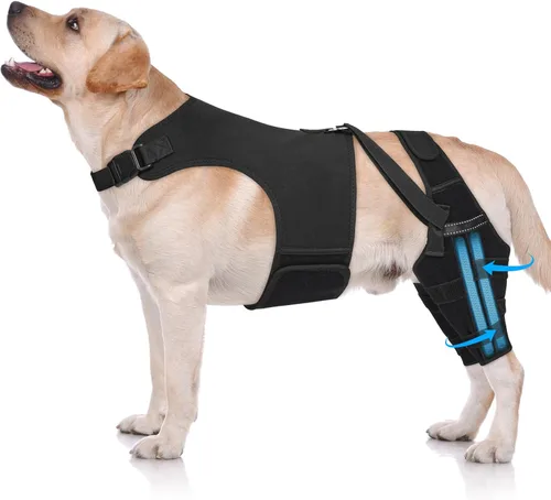 Rodillera para perro para pierna trasera desgarrada, ajustable para pierna trasera con 5 estabilizadores, reduce el dolor, lesiones de ligamentos y