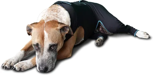 Miniatura 5 de BENEFAB Traje terapéutico cómodo para perros — Chaqueta ligera de infrarrojo lejano para caninos de todas las edades — Traje de compresión relajante