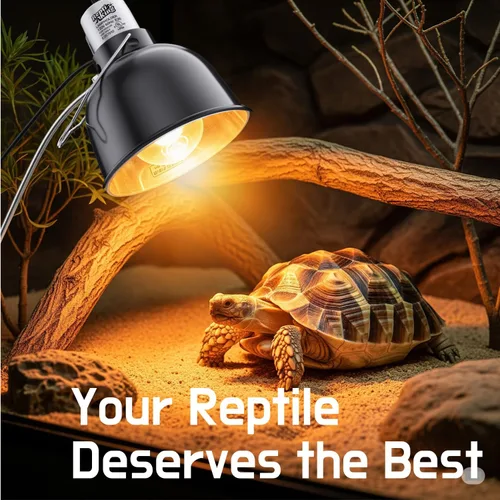 Miniatura 5 de Lámpara de reptil – Lámpara de cúpula de 5.5 pulgadas con enchufe de cerámica, lámpara de calor de reptiles para emisores de calor y bombillas