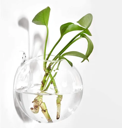 Miniatura 3 de Macetas colgantes de pared terrario de vidrio de aire para plantas