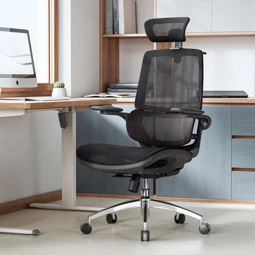 Miniatura 2 de SIHOO M59AS - Silla de oficina ergonómica, silla de escritorio con reposabrazos abatibles 3D, silla de computadora con diseño de respaldo doble