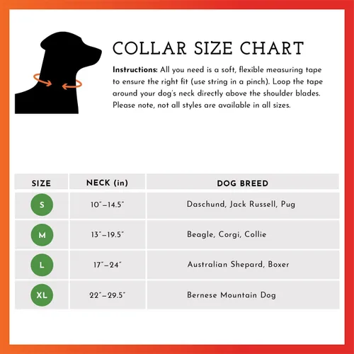 Miniatura 5 de SPOT THE DOG! Collar reflectante para perro, accesorios de seguridad para perros de alta visibilidad, collares ajustables y duraderos para mascotas