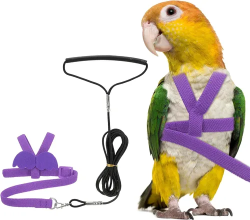 Miniatura 7 de Correa de arnés para pájaros, arnés ajustable para pájaros y loros para mascotas, ligera, antimordeduras, cuerda de entrenamiento de vuelo con linda