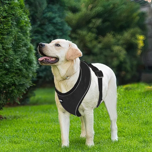 AIITLE Arnés para cachorro, malla transpirable de triple capa, ajuste ajustable y diseño reflectante, chaleco sobre la cabeza sin asfixia para uso
