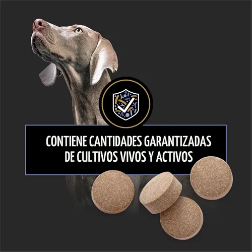 Miniatura 4 de Purina Pro Plan - Suplementos veterinarios Fortiflora Probióticos para perros, tabletas masticables para salud digestiva intestinal y diarrea