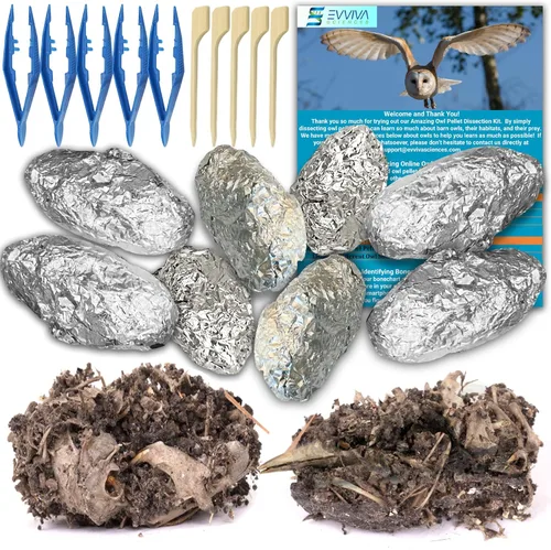 Amazing Owl - Kit de disección de pellets de búho – Juego de pellets de búho de 10 piezas para proyectos de laboratorio científico – con pinzas y