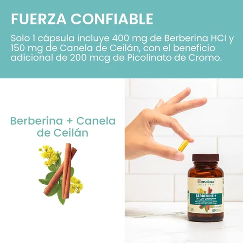 Miniatura 6 de Himalaya Berberina con canela de Ceilán, suplemento de hierbas para apoyar el metabolismo normal, inmune y la salud digestiva, vegano, sin gluten