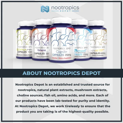 Miniatura 3 de Nootropics Depot Cápsulas de curcumina + piperina 1000 mg de curcumina + 6 mg de piperina 180