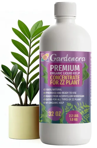 Miniatura 40 de GARDENERA Superalimento orgánico prémium de algas marinas y algas marinas para plantas AGLAONEMA, 8 onzas, concentrado de fertilizante líquido