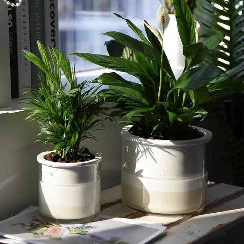 Miniatura 5 de Phoenix Vine Macetas de riego automático de 6 pulgadas y 4 pulgadas, macetas de terracota blanca de diseño para plantas, macetas de terracota Blanco