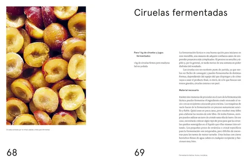 Miniatura 3 de La guía de fermentación de Noma: Incluye koji, kombuchas, salsas shoyu, misos, vinagres, garum, fermentos lácticos y frutas (Foundations of Flavor)