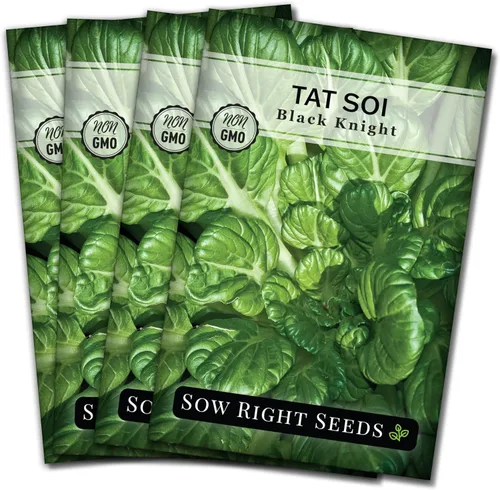 Miniatura 8 de Sow Right Seeds - Semillas Black Knight Tat SOI para plantar - Paquete de reliquia sin OMG con instrucciones para plantar un huerto casero - Mostaza