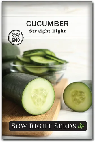 Sow Right Seeds - Ocho semillas de pepino rectas para plantar - Paquete de reliquia sin OMG con instrucciones para plantar y cultivar un huerto en