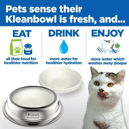 Miniatura 3 de Kinn Whisker Fatigue - Cuenco para gatos compostable y desechable para alimentos o agua, 24 onzas (50 repuestos), plato para gatos apto para bigotes