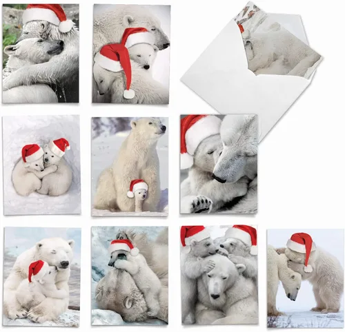 The Best Card Company Paquete variado de 10 tarjetas navideñas de felicitación con sobres, surtido festivo de humor para hombres y mujeres (10