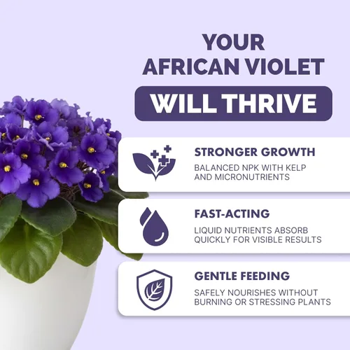 Miniatura 2 de Fertilizante violeta africana – Alimento líquido vegetal para más floraciones, hojas verdes ricas y desarrollo saludable de raíces, 8 onzas