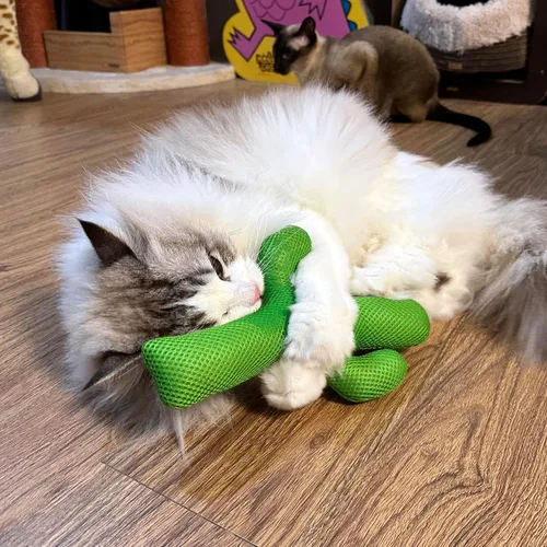 Miniatura 6 de TTcat Almohada Matatabi de hierba gatera Silvervine para gatos y gatitos, juguete grande de cactus para gatos, juguete masticable para gatos